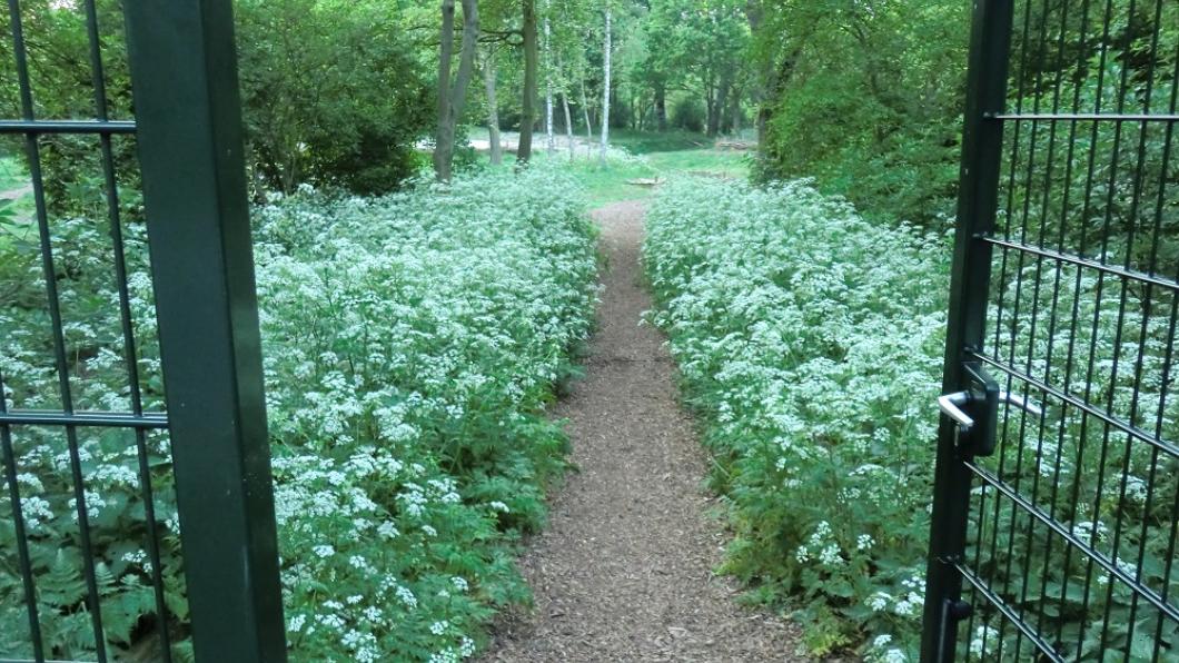 Natuurspeeltuin voorjaar.jpg