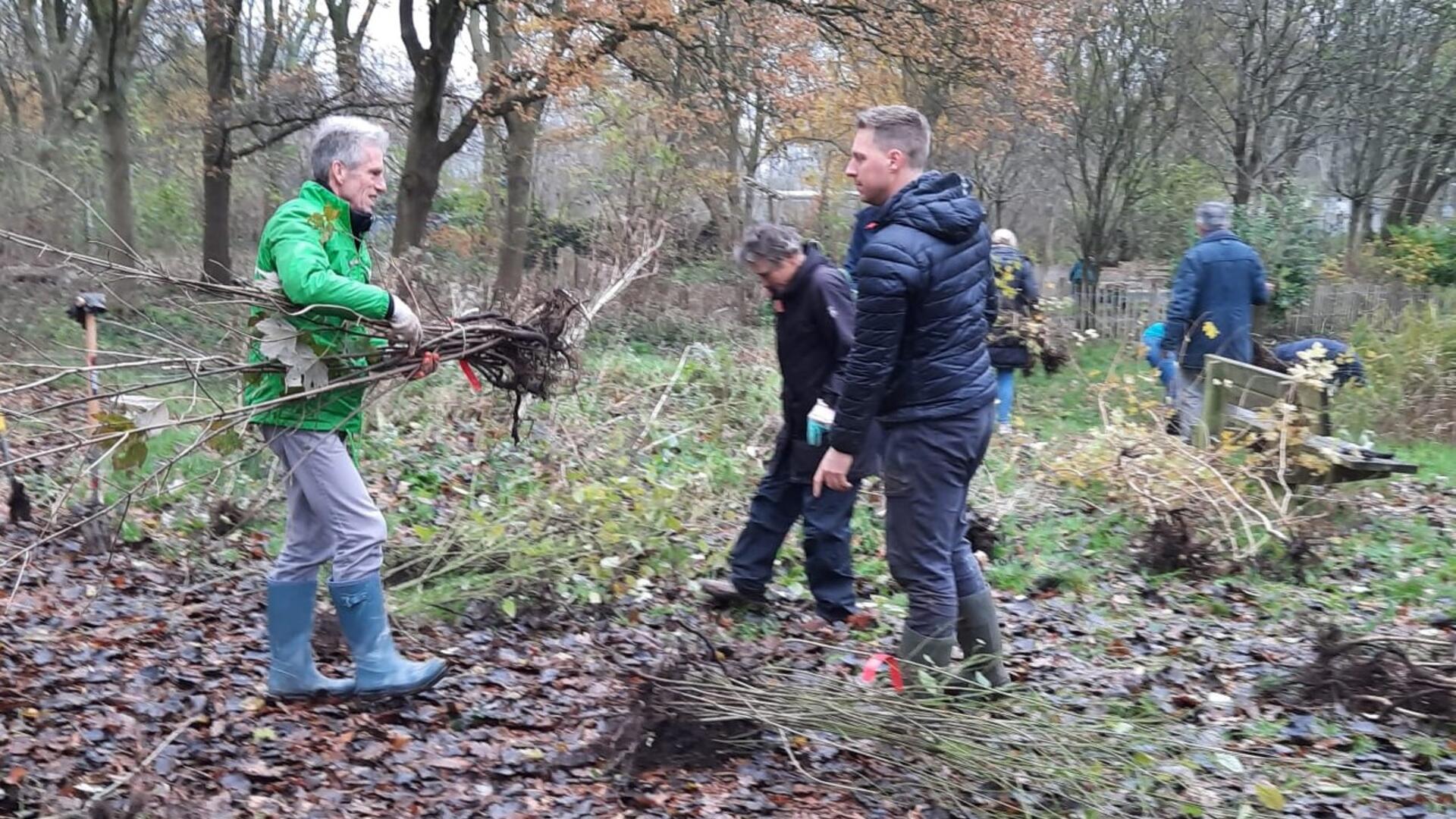Foto van oogsten zaailingen bomen
